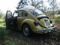 Garbuskowy uszestnik...