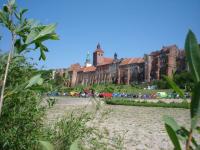 z roślinkami po bokach ;-)