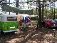 podobuz Stokrotek, dzien następny ;)