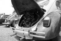 fot.Krzysiek Galon 044.jpg