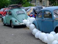 fot.Miniu 276.jpg