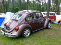 fot.Miniu 313.jpg