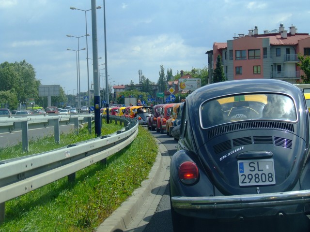 fot.Miniu 436.jpg