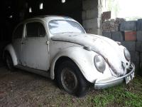 * Garbus - "Złomek"