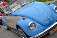 fot.Dorota Białkowska