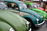 fot.Dorota Białkowska