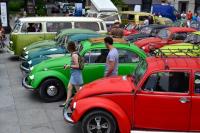 fot.Dorota Białkowska