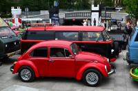 fot.Dorota Białkowska