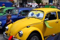 fot.Dorota Białkowska