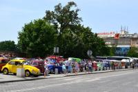 fot.Dorota Białkowska