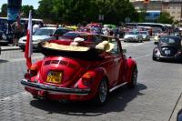 fot.Dorota Białkowska