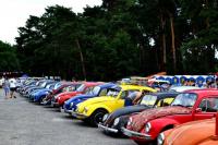 fot.Dorota Białkowska