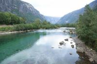 fot.Ania
