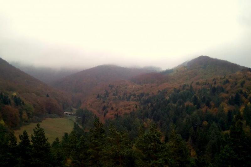 fot.Przygoda
