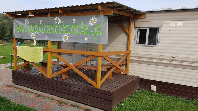 fot.Artek