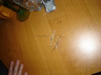 Św. Andrzeju co czeka mnie w najbiższym roku?