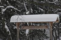 fot.Artek (canon) 066.jpg