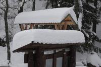 fot.Artek (canon) 067.jpg