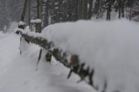 fot.Artek (canon) 068.jpg