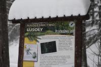 fot.Artek (canon) 079.jpg