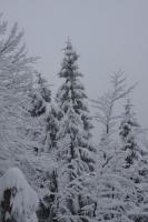 fot.Artek (canon) 085.jpg