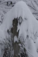 fot.Artek (canon) 089.jpg