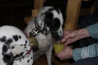 fot.Artek (canon) 101.jpg