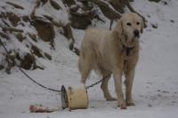 fot.Artek (canon) 264.jpg