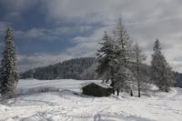 fot.Artek (canon) 299.jpg