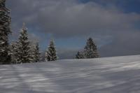 fot.Artek (canon) 303.jpg