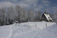 fot.Artek (canon) 307.jpg