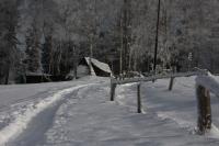 fot.Artek (canon) 308.jpg