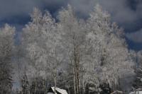 fot.Artek (canon) 309.jpg