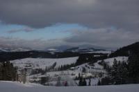 fot.Artek (canon) 313.jpg