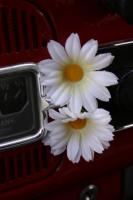 fot.Michał (VW Trends)