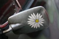 fot.Michał (VW Trends)