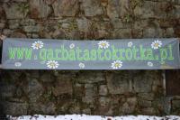 fot.Michał (VW Trends)