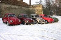 fot.Michał (VW Trends)