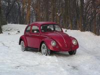 fot.Michał (VW Trends)