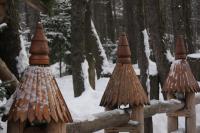 fot.Artek (canon) 467.jpg