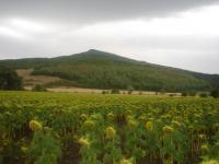 fot.Artek - typowe bułgarskie widoki...