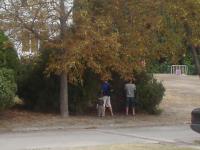 fot.Artek - czas na sikanie :)