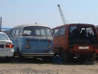 fot.Artek - Ogórek spotkany po drodze...