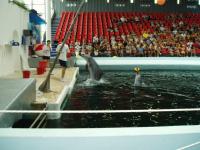 fot.Marek - Delfinarium