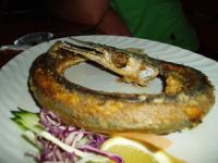 fot.Marek - wąż Morski ;) 