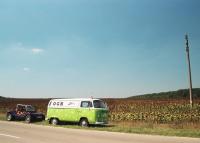 fot.Artek(Canon) - Stokroka i Buggi na tle słoneczników ;)