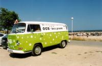 fot.Wapek - Stokrtka na tle plaży