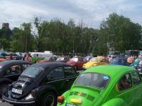 fot.Magnus