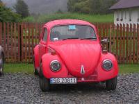 Guzik, znów cały :)