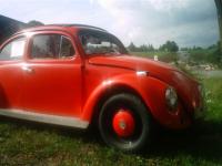 garb znaleziony na trasie